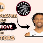 Could The Raptors Nab A Buyout Steal?