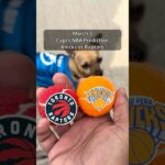 Cujo’s NBA Picks | New York Knicks vs Toronto Raptors 🏀 03-03-2026 #CujoCatches