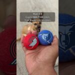 Cujo’s NBA Picks | Portland Trail Blazers vs Memphis Grizzlies 🏀 03-04-2026 #CujoCatches