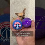 Cujo’s NBA Picks | Utah Jazz vs Washington Wizards 🏀 03-04-2026 #CujoCatches