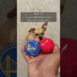 Cujo’s NBA Picks | Golden State Warriors vs Houston Rockets 🏀 03-05-2026 #CujoCatches