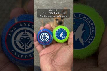 Cujo’s NBA Picks | Minnesota Timberwolves vs LA Clippers 🏀 03-11-2026 #CujoCatches