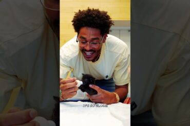 Jordan Poole visits Louisiana SPCA #pelicans #nba