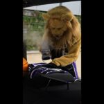 Slamson’s Pre-Game Ritual: Sacramento Kings x Toyota