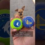 Cujo’s NBA Picks | Minnesota Timberwolves vs Golden State Warriors 🏀 03-13-2026 #CujoCatches
