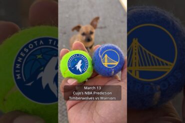 Cujo’s NBA Picks | Minnesota Timberwolves vs Golden State Warriors 🏀 03-13-2026 #CujoCatches