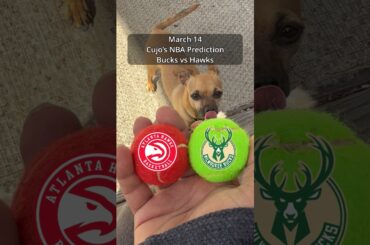 Cujo’s NBA Picks | Milwaukee Bucks vs Atlanta Hawks 🏀 03-14-2026 #CujoCatches