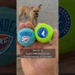 Cujo’s NBA Picks | Minnesota Timberwolves vs Oklahoma City Thunder 🏀 03-15-2026 #CujoCatches