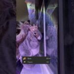 THATS 4 IN A ROW #shorts