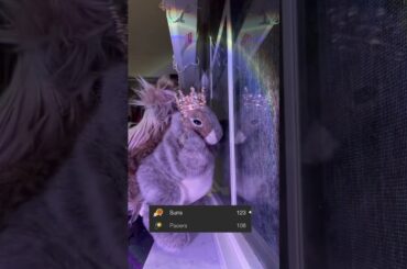 THATS 4 IN A ROW #shorts