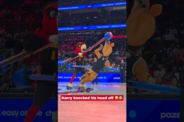 Harry the Hawk the jouster 😂😂 #hawks #nba #harrythehawk