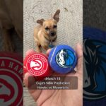 Cujo’s NBA Picks | Atlanta Hawks vs Dallas Mavericks 🏀 03-18-2026 #CujoCatches