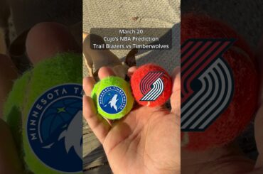 Cujo’s NBA Picks | Portland Trail Blazers vs Minnesota Timberwolves 🏀 03-20-2026 #CujoCatches