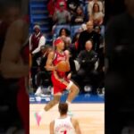 Jeremiah Fears NASTY behind-the-back cross 🔥 #pelicans #nba