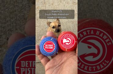 Cujo’s NBA Picks | Atlanta Hawks vs Detroit Pistons 🏀 #CujoCatches