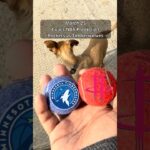 Cujo’s NBA Picks | Houston Rockets vs Minnesota Timberwolves 🏀 #CujoCatches