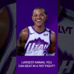 Walker was READY for this one 😂 #utahjazz #deepthoughts #animals #nba