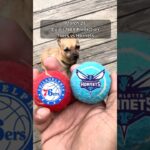 Cujo’s NBA Picks | Philadelphia 76ers vs Charlotte Hornets 🏀 03-28-2026 #CujoCatches