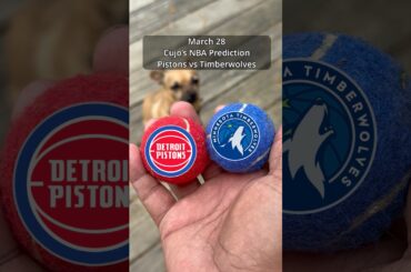 Cujo’s NBA Picks | Detroit Pistons vs Minnesota Timberwolves 🏀 03-28-2026 #CujoCatches