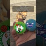 Cujo’s NBA Picks | Boston Celtics vs Charlotte Hornets 🏀 03-29-2026 #CujoCatches
