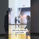 Thoughts on SGA’s newest Luxe Truffle colorway of the SHAI 001? #okcthunder