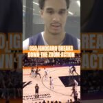 Phoenix Suns’ Oso Ighodaro breaks down why Zoom Action is his favorite set to run with Devin Booker