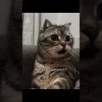 Bro has no enemies 💀😭 #basketball