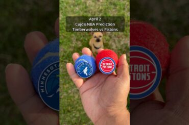 Cujo’s NBA Picks | Minnesota Timberwolves vs Detroit Pistons 🏀 04-02-2026 #CujoCatches