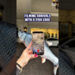 WAIT FOR IT... we promise it's worth it