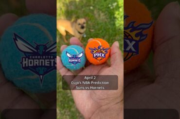 Cujo’s NBA Picks | Phoenix Suns vs Charlotte Hornets 🏀 04-02-2026 #CujoCatches