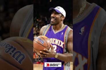 Suns ownership pushed Amar'e Stoudemire out