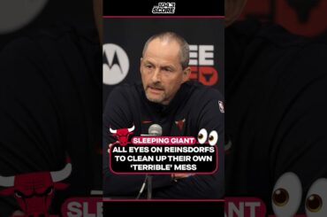 Bulls are a SLEEPING GIANT that just needs a competent leader!