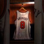 defense worthy of the highest accolades 😈 #nba #nyknicks #oganunoby