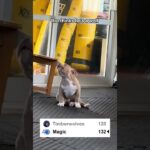 TIME TO SING IN THE SHOWER!