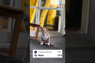 TIME TO SING IN THE SHOWER!