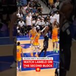 LaMelo got in on the party 🤣