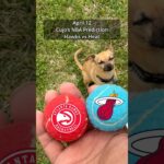 Cujo’s NBA Picks | Atlanta Hawks vs Miami Heat 🏀 04-12-2026 #CujoCatches