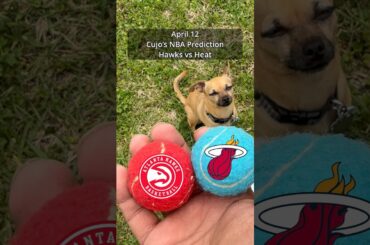 Cujo’s NBA Picks | Atlanta Hawks vs Miami Heat 🏀 04-12-2026 #CujoCatches