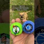 Cujo’s NBA Picks | Orlando Magic vs Boston Celtics 🏀 04-12-2026 #CujoCatches
