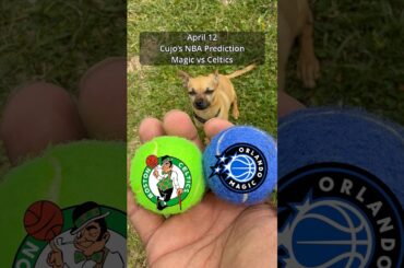 Cujo’s NBA Picks | Orlando Magic vs Boston Celtics 🏀 04-12-2026 #CujoCatches