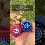 Cujo’s NBA Picks | Orlando Magic vs Philadelphia 76ers 🏀 04-15-2026 #CujoCatches