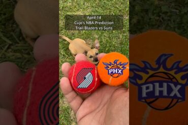 Cujo’s NBA Picks | Portland Trail Blazers vs Phoenix Suns 🏀 04-14-2026 #CujoCatches