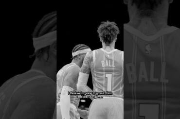 we know who we are & we’re ready for one more #charlottehornets #nba #protectthehive