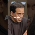 This player reminded Coach Spo of a former HEAT guard 🐉