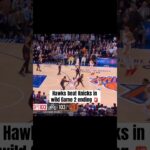 Hawks stun Knicks in 14-PT comeback win 😳
