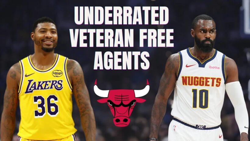 Veteran Free Agents The Chicago Bulls Should Pursue This Offseason