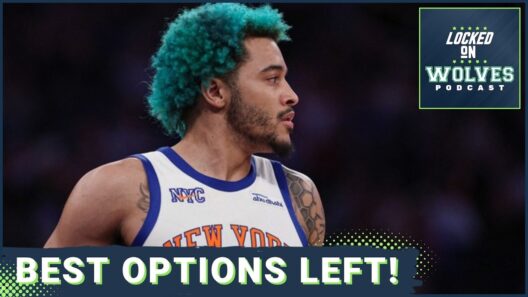LeBron James Dream Is Dead | What Are The Minnesota Timberwolves' Best Remaining FA Options?