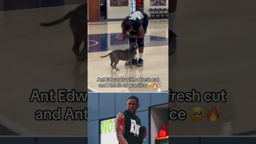 Incredible vibes at Timberwolves practice 🐶 (via Timberwolves/TT)