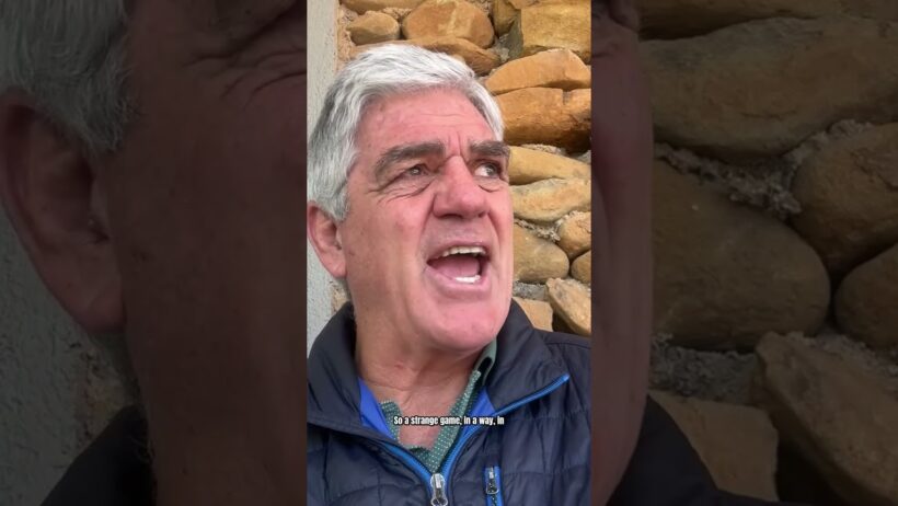 Nick Mallett's brutal Bulls verdict after 50-19 loss to All Blacks #Shorts #TalkingBoks