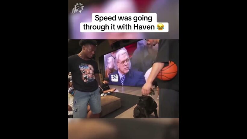The more you watch, the funnier it gets 😂